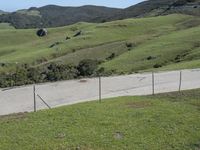 a small mountain sits in the background and is fenced off from a highway that follows