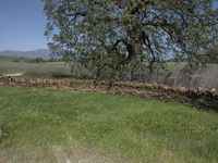 this is an image of the entrance to a ranch gate on the side of the road