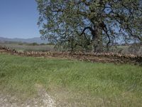 this is an image of the entrance to a ranch gate on the side of the road