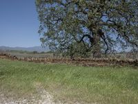 this is an image of the entrance to a ranch gate on the side of the road