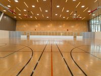 California USA Open Space Basketball Stadium