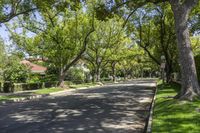 California, USA: Road Surrounded by Grass and Trees