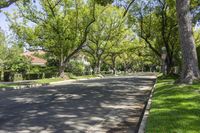 California, USA: Road Surrounded by Grass and Trees