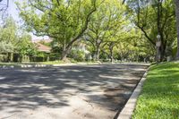 California, USA: Road Surrounded by Grass and Trees