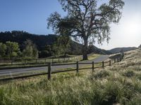 California, USA Road: Nature's Lush Landscape