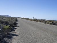 California USA Road Path to the Ocean