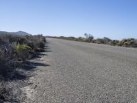 California USA Road Path by the Ocean 002