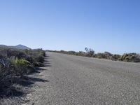 California USA Road Path to the Ocean