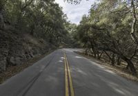 the paved street is lined with trees and rocky hills to the side of a road