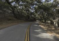 the paved street is lined with trees and rocky hills to the side of a road