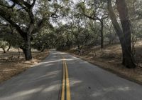 the paved street is lined with trees and rocky hills to the side of a road