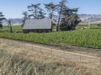 Rural Landscape in California, USA