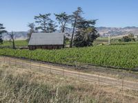 Rural Landscape in California, USA