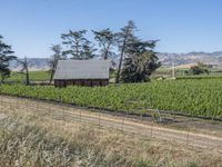 Rural Landscape in California, USA