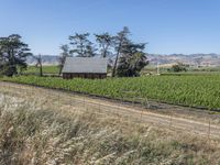 Rural Landscape in California, USA