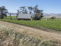 Rural Landscape in California, USA