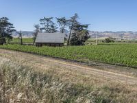 Rural Landscape in California, USA