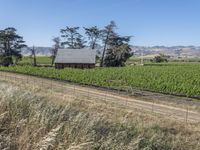 Rural Landscape in California, USA