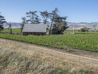 Rural Landscape in California, USA