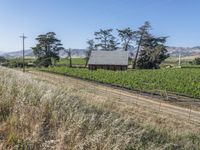 Rural Landscape in California, USA