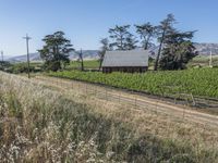 Rural Landscape in California, USA