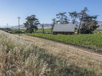 Rural Landscape in California, USA