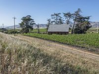 Rural Landscape in California, USA