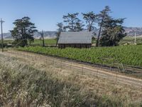 Rural Landscape in California, USA