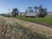 Rural Landscape in California, USA