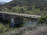 a view from a bridge overlooking trees and a mountain range of hills behind a bridge