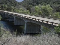 a view from a bridge overlooking trees and a mountain range of hills behind a bridge