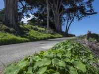 Scenic Coastal Road in California, USA