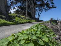 Scenic Coastal Road in California, USA