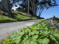 Scenic Coastal Road in California, USA