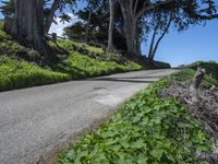 Scenic Coastal Road in California, USA