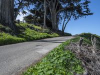 Scenic Coastal Road in California, USA