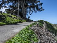 Scenic Coastal Road in California, USA