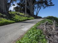 Scenic Coastal Road in California, USA