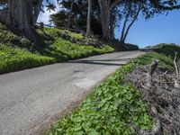 Scenic Coastal Road in California, USA