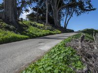 Scenic Coastal Road in California, USA