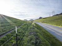 the road is paved by an electrical fence and has several cows grazing on the grass