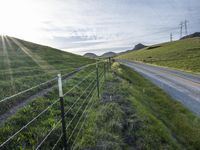 the road is paved by an electrical fence and has several cows grazing on the grass