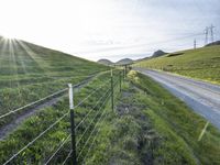 the road is paved by an electrical fence and has several cows grazing on the grass