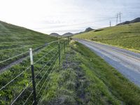 the road is paved by an electrical fence and has several cows grazing on the grass