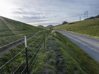 the road is paved by an electrical fence and has several cows grazing on the grass