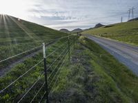 the road is paved by an electrical fence and has several cows grazing on the grass