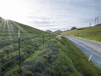 the road is paved by an electrical fence and has several cows grazing on the grass