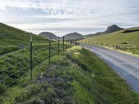 the road is paved by an electrical fence and has several cows grazing on the grass