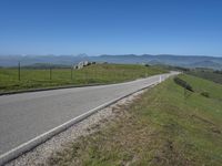 Scenic Road through Grassy Pasture in California USA 001