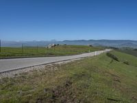 Scenic Road through Grassy Pasture in California, USA